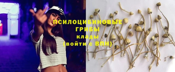 mix Костерёво