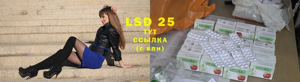 трава Корсаков