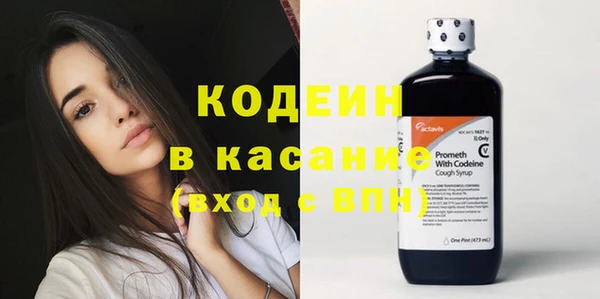 трава Корсаков