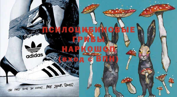 трава Корсаков