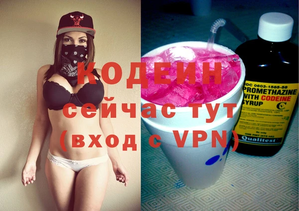 трава Корсаков
