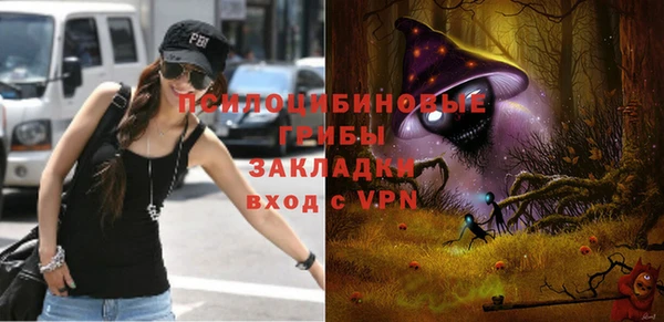 трава Корсаков
