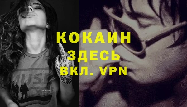 трава Корсаков