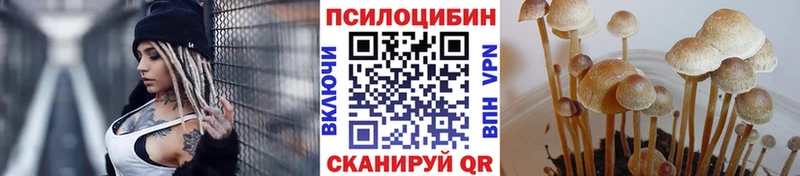 Псилоцибиновые грибы прущие грибы  MEGA зеркало  Мегион 
