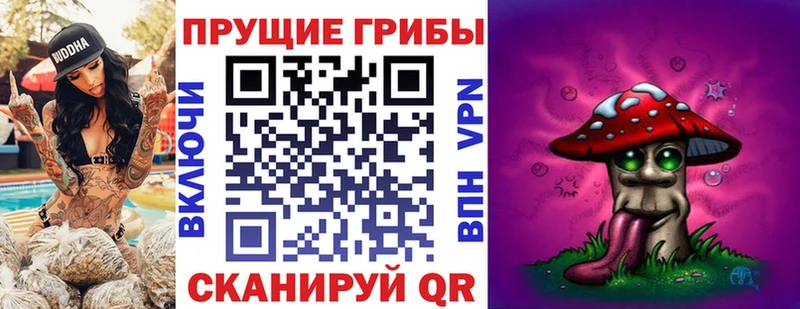 Галлюциногенные грибы Psilocybe Мегион