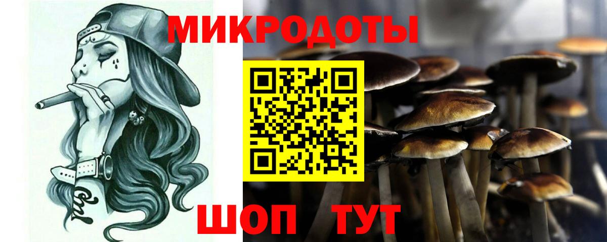 Галлюциногенные грибы Cubensis Мегион
